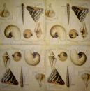 094 Shellfish - 3-ply (blue) - Home Fashion